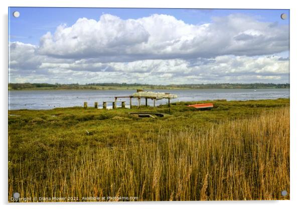 River Stour Mistley Essex Acrylic by Diana Mower