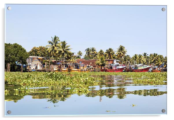 Kerala fishing boats moored and surrounded trapped Acrylic by Arfabita  