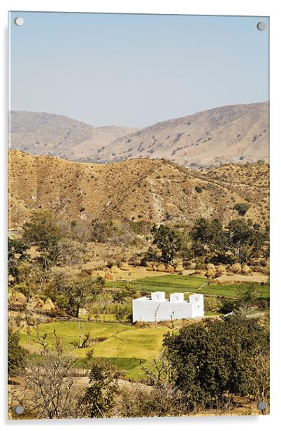 Rural famland Rajasthan India Acrylic by Arfabita  