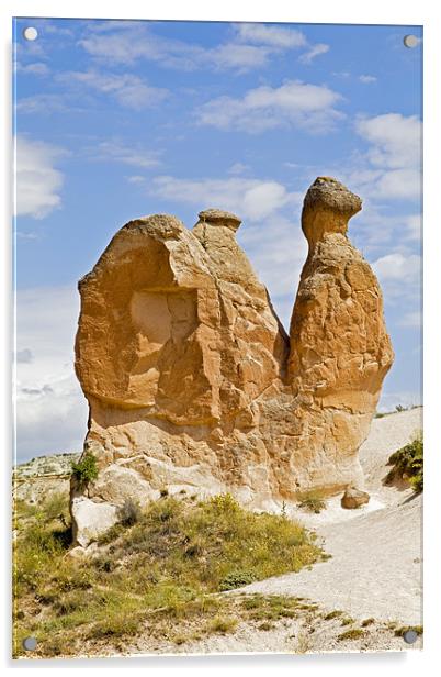 Sandstone weathered Camel Acrylic by Arfabita  