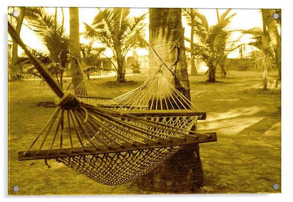 Resort Hammocks Acrylic by Arfabita  