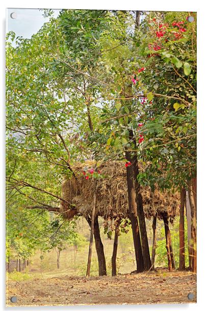 Indian cattle rearing haystack on stilts Acrylic by Arfabita  