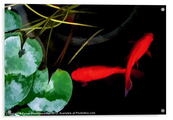 Koi in Water Color Acrylic by Panas Wiwatpanachat