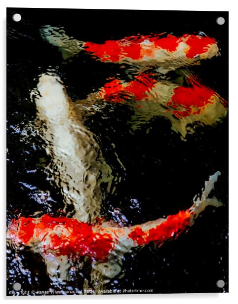 Fish in the Koi Pond Acrylic by Panas Wiwatpanachat