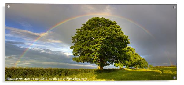 Rainbow over Oak tree. Acrylic by Mark Harper