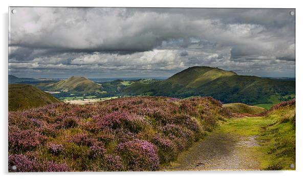 Long Mynd Shropshire Acrylic by paul lewis