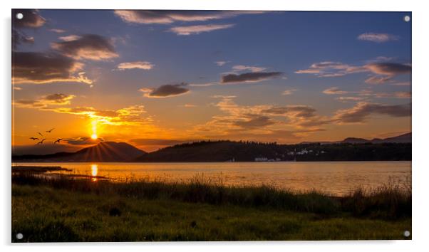 Estuary Sunset Portmeirion Acrylic by paul lewis