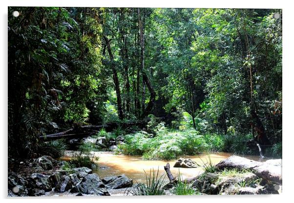 Cairns Rainforest Acrylic by Cristal Hills