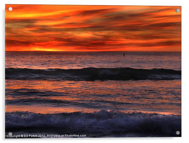 Paddle Boarder Sunset Acrylic by Ed Pettitt