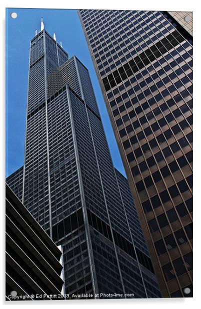 Willis Tower, Chicago Acrylic by Ed Pettitt