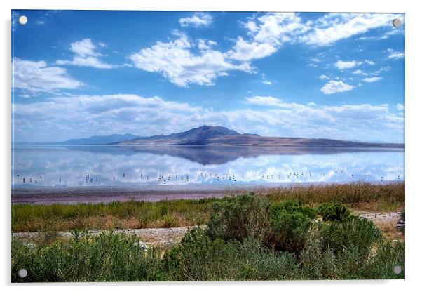 Great Salt Lake and Antelope Island Acrylic by World Images