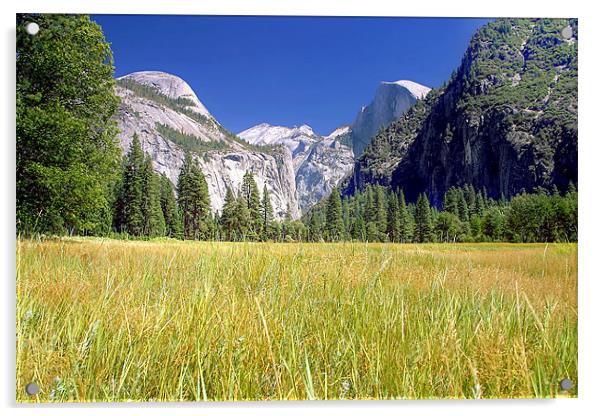 Tuolumne Meadows Acrylic by World Images