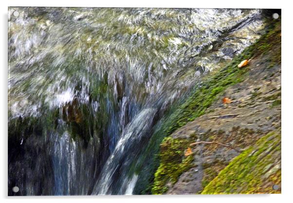 Dolgoch Falls Wales Acrylic by Reg Dobson