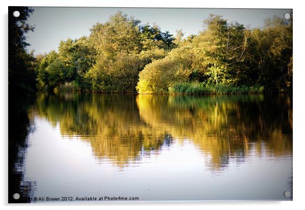 River Bure Norfolk Acrylic by Ali Brown