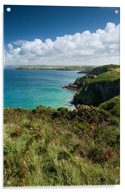 Port Quin Bay Acrylic by Jonathan Swetnam