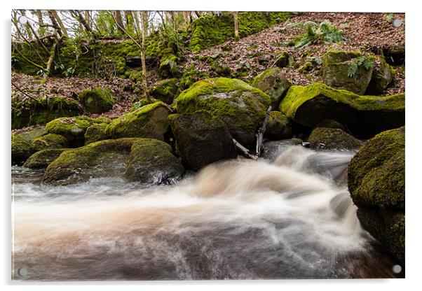 Padley Gorge Acrylic by Jonathan Swetnam