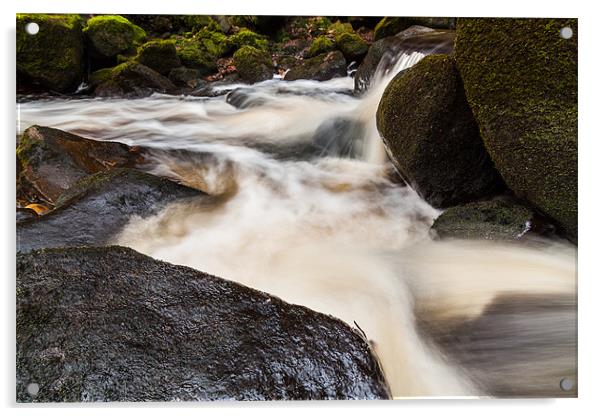 Padley Gorge Acrylic by Jonathan Swetnam