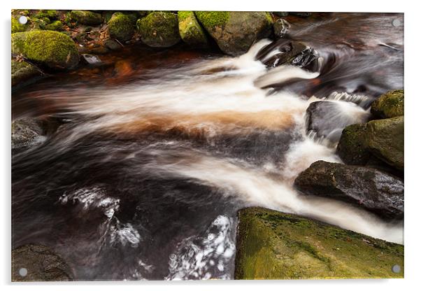 Padley Gorge Acrylic by Jonathan Swetnam