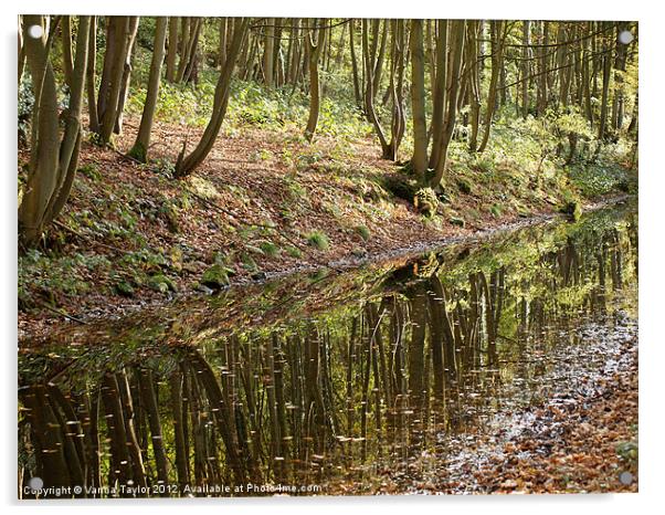 Cromford Canal, Derbyshire Acrylic by Vanna Taylor