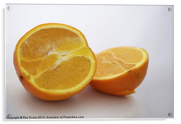 Orange Sliced Acrylic by Roy Evans