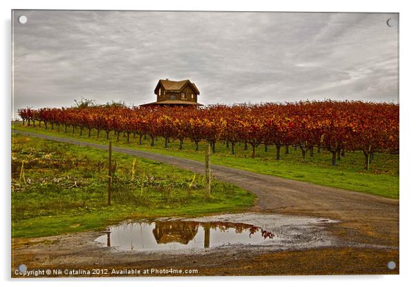 Autumn Vineyard Rain Acrylic by Nik Catalina
