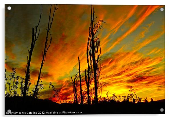 Sky Fire Sunrise Acrylic by Nik Catalina