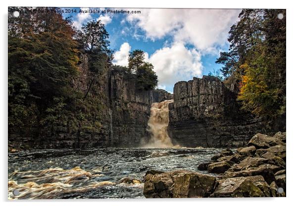  High Force Waterfall Acrylic by Dave Evans