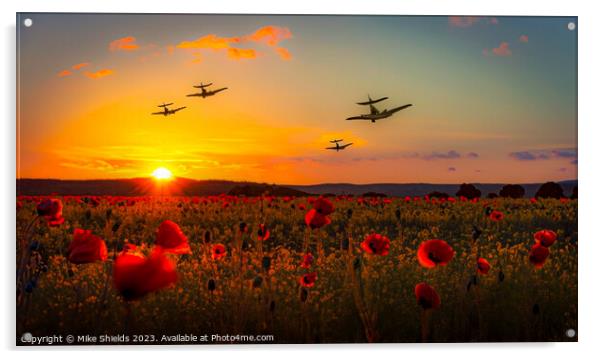 Flight Tribute over Poppy Meadows Acrylic by Mike Shields