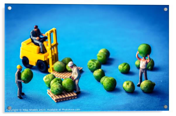 Harvesting the Miniscule: Pea Operation Acrylic by Mike Shields