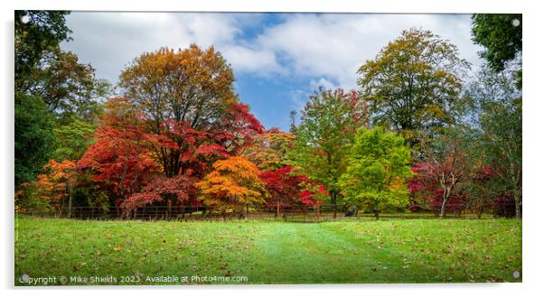 Stunning Autumn Colors Acrylic by Mike Shields