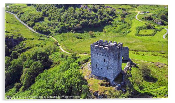 Dolwyddelan Castle Acrylic by Mike Shields