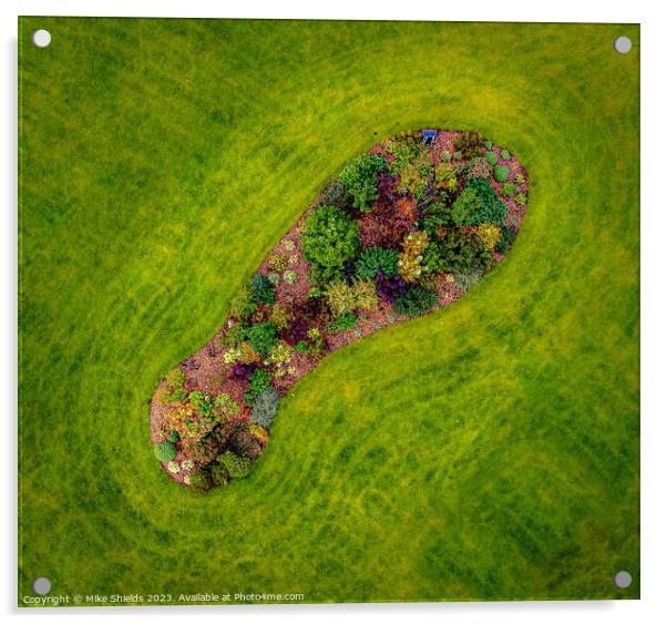 Footprint of Flowers Acrylic by Mike Shields
