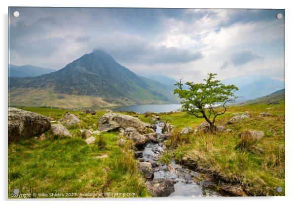 Lone Tree and Tryfan Acrylic by Mike Shields