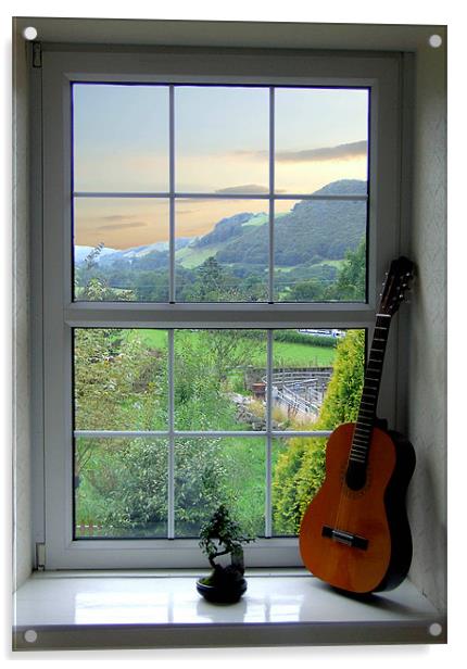 Bonsai and Spanish Guitar Window Acrylic by philip clarke