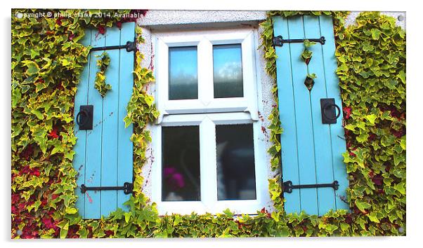 Country Cottage Window surrounded by Ivy Acrylic by philip clarke