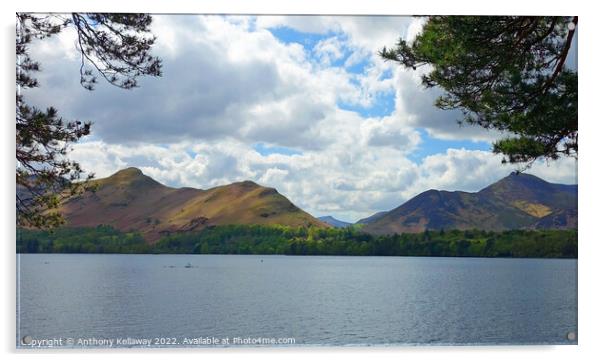 Catbells Lake District Acrylic by Anthony Kellaway
