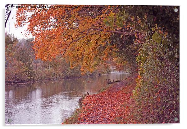 RIVER ITCHEN NAVIGATION IN AUTUMN Acrylic by Anthony Kellaway