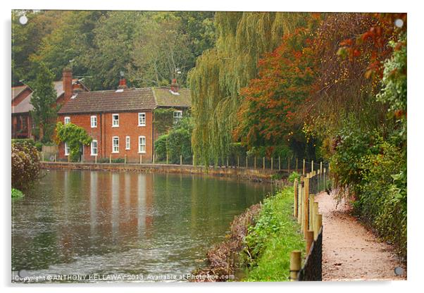 RIVER ITCHEN COTTAGE IN AUTUMN Acrylic by Anthony Kellaway