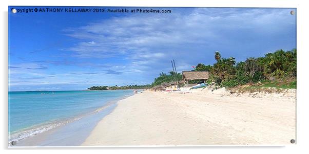 VARADERO BEACH CUBA Acrylic by Anthony Kellaway