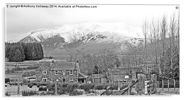 SNOW COVERED BLENCATHRA Acrylic by Anthony Kellaway