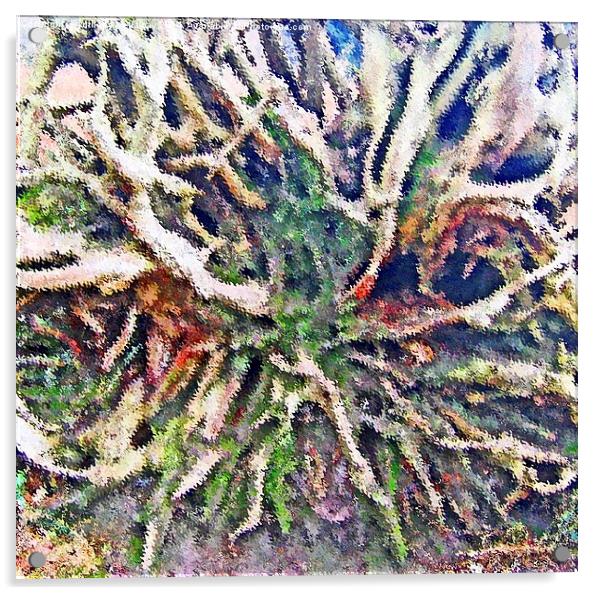 TREE ROOTS ABSTRACT Acrylic by Anthony Kellaway