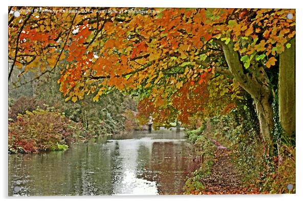  ITCHEN NAVIGATION IN AUTUMN Acrylic by Anthony Kellaway
