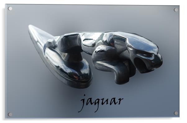               Jaguar mascot                  Acrylic by Anthony Kellaway