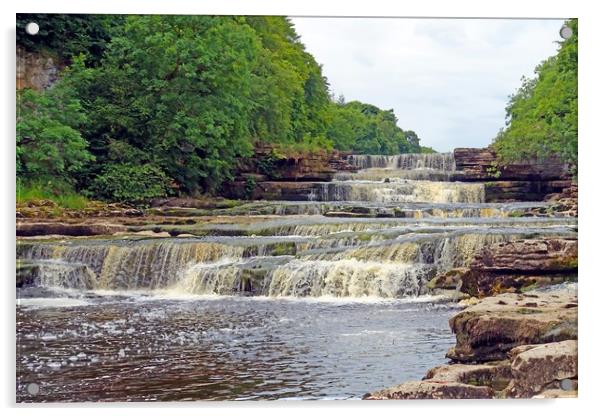   Aysgarth Falls                              Acrylic by Anthony Kellaway