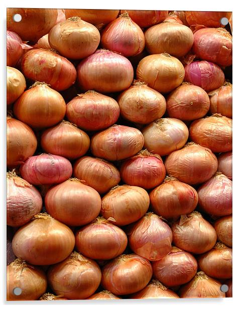 Onions Acrylic by Howard Little