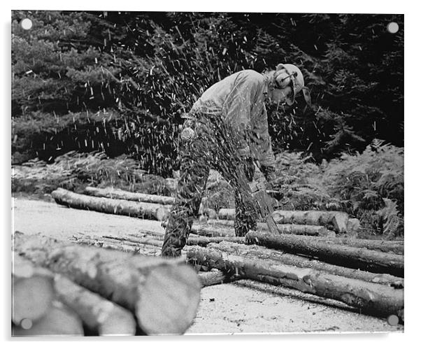 Scottish Lumberjack Acrylic by Howard Little