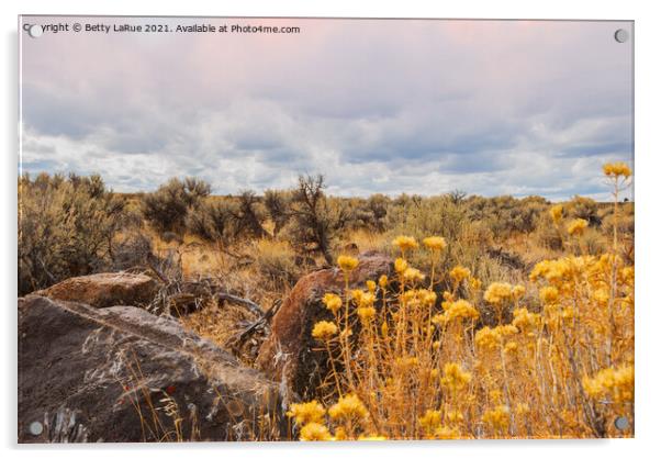 Oregon High Desert  Acrylic by Betty LaRue