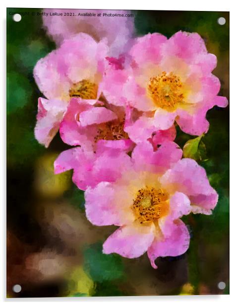 Pink Wild Roses Acrylic by Betty LaRue