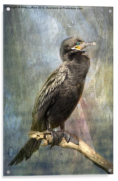 Perched Cormorant Acrylic by Betty LaRue