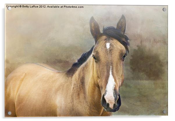 Golden Acrylic by Betty LaRue